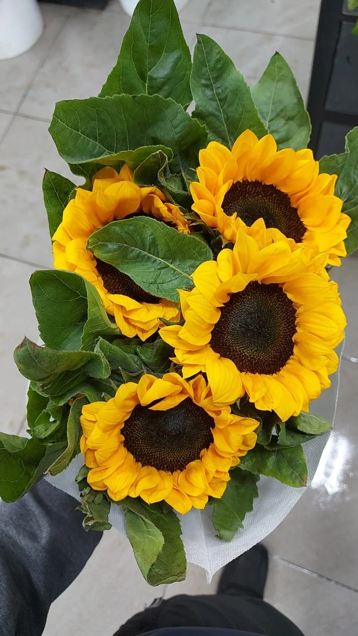 Фото 4
