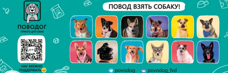 Поводог Абакан