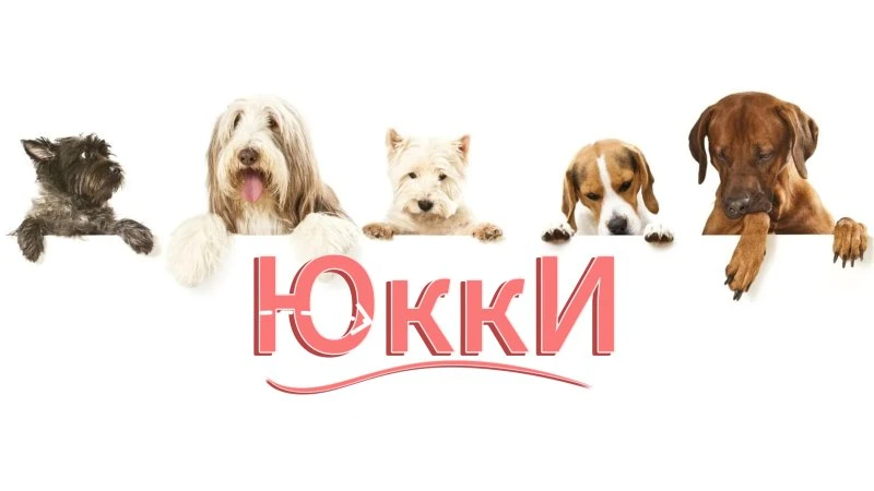 Юккитеро