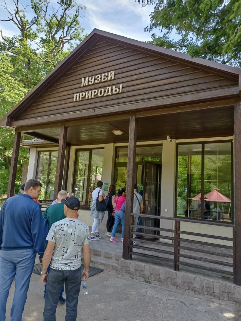 Музей природы Кавказского заповедника