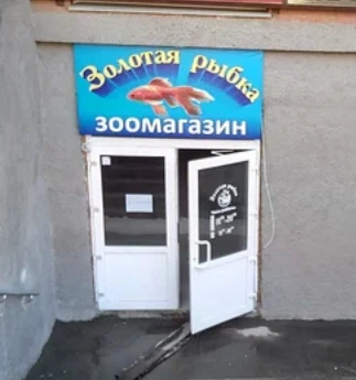 Золотая рыбка