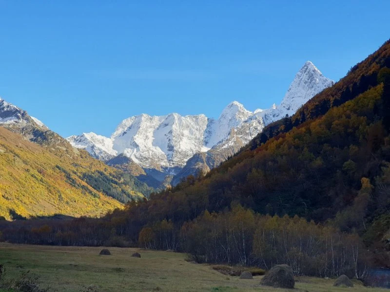 SevKav Travel