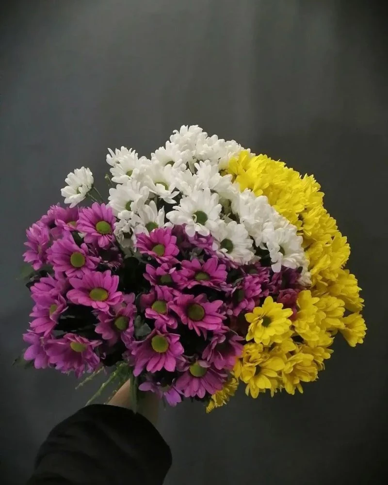 Мнебукет
