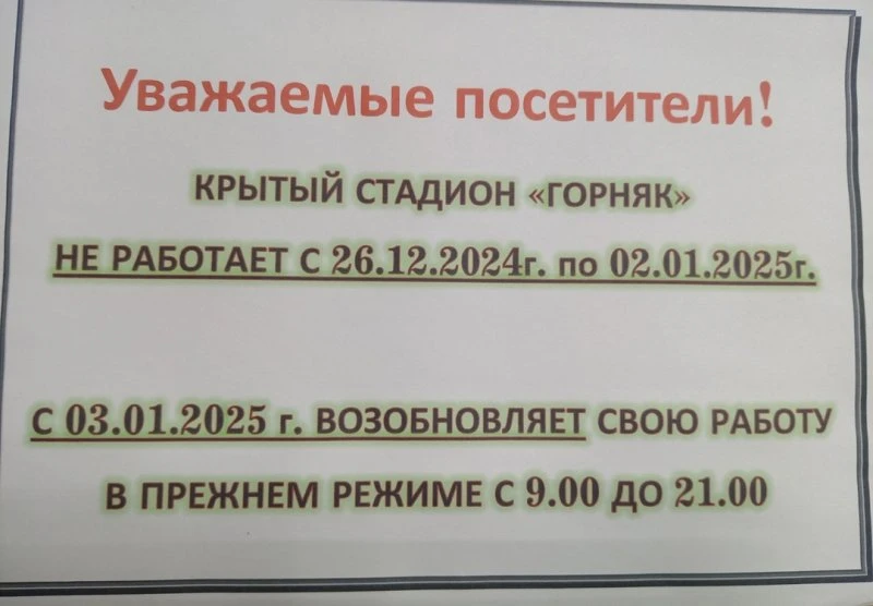 Горняк