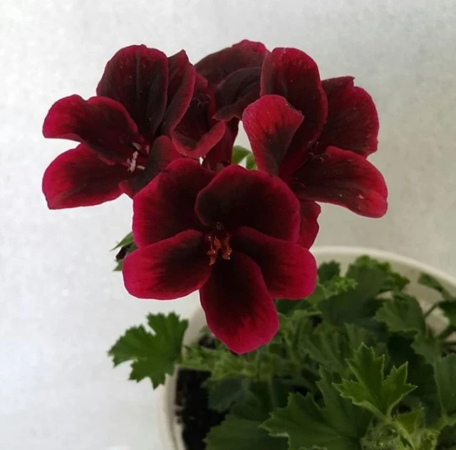 Фото 4