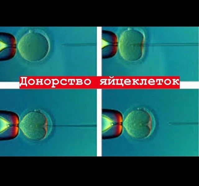 Семейный врач и Co, многопрофильная клиника