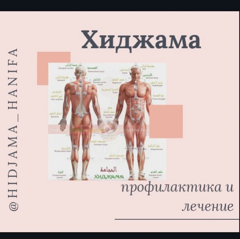 Профилактика и лечение