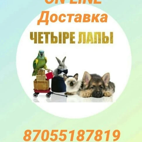 БЕСПЛАТНАЯ ДОСТАВКА
