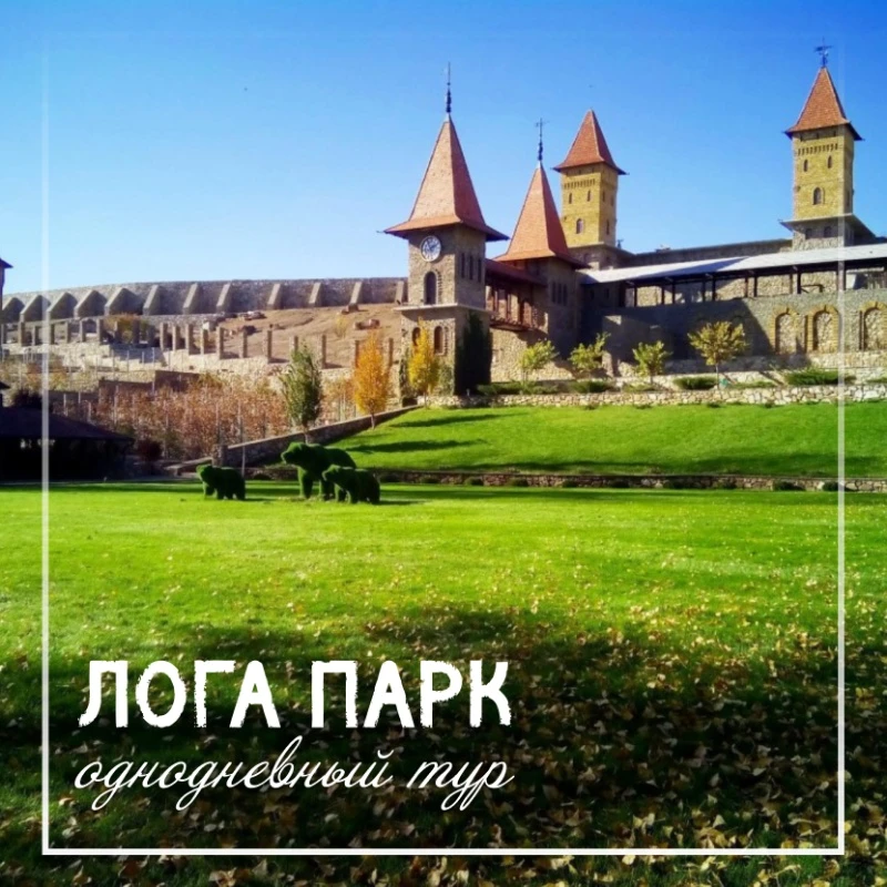 Лето рядом 🌳