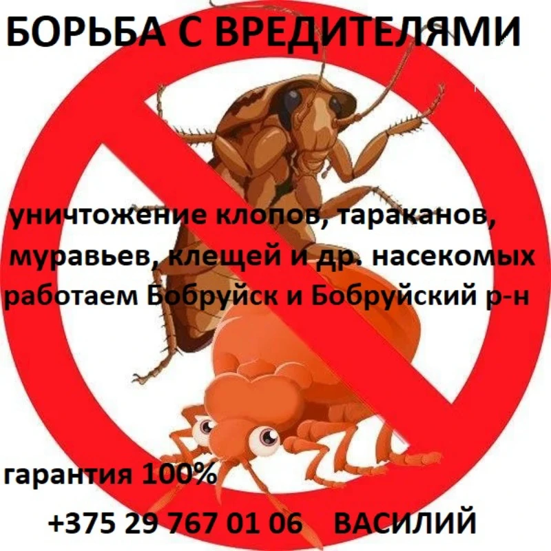 Дезинфекция от вирусов, клопов, тараканов, клещей, муравьев.