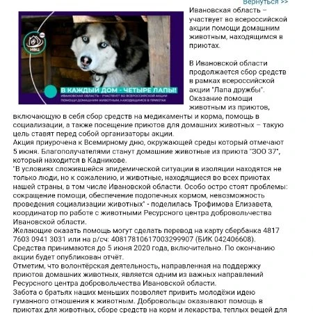 Акция для приюта 