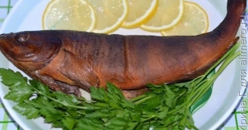🐟🐟🐟