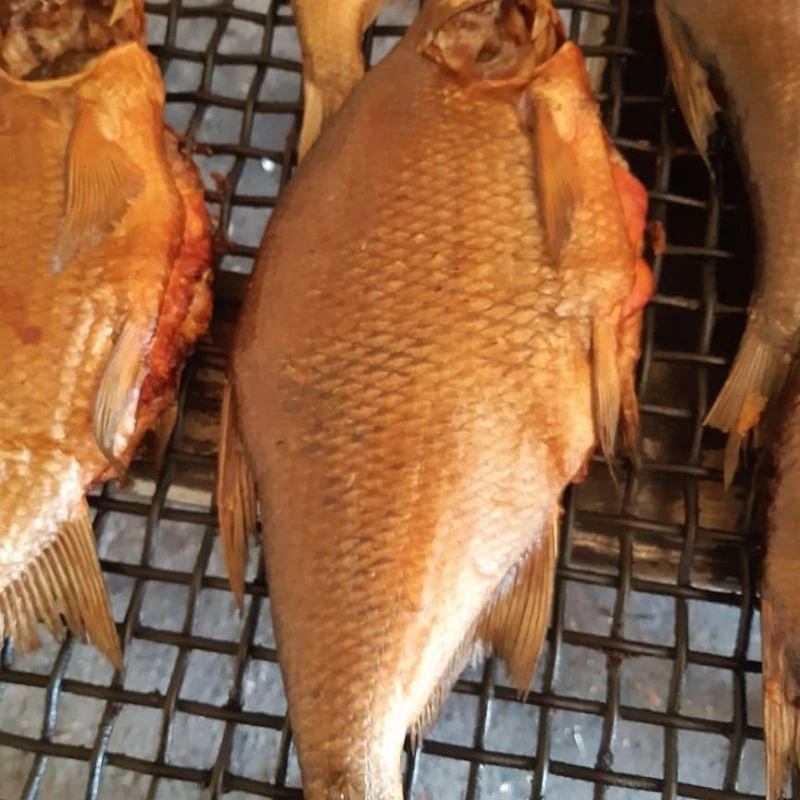 🐟🐟🐟