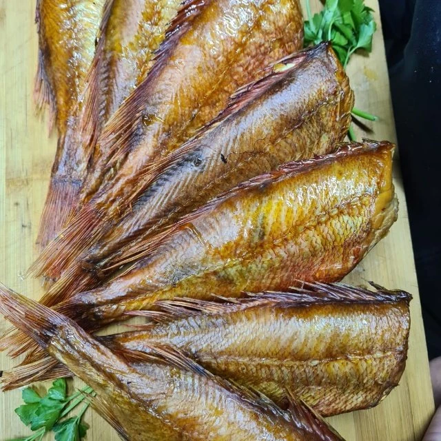 🐟🐟🐟