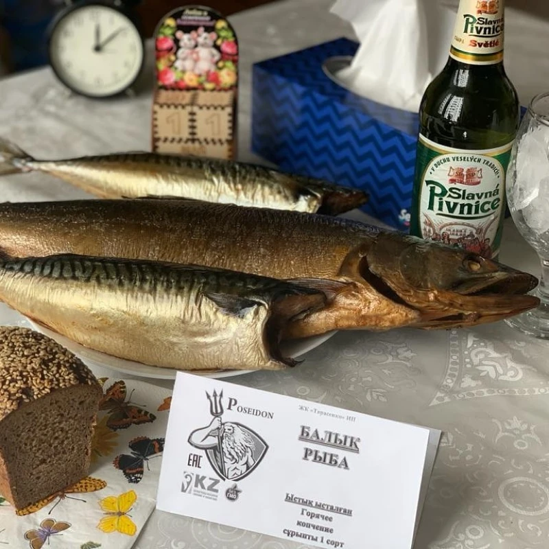 🐟🐟🐟