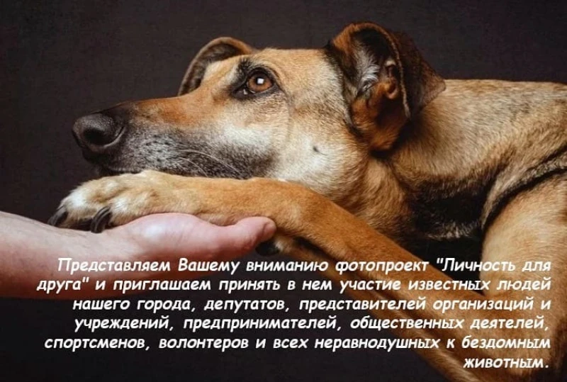 Фотопроект "Личность для друга"