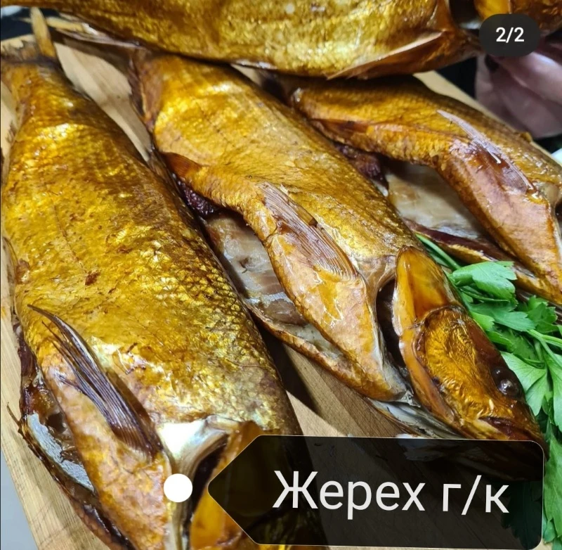 🐟🐟