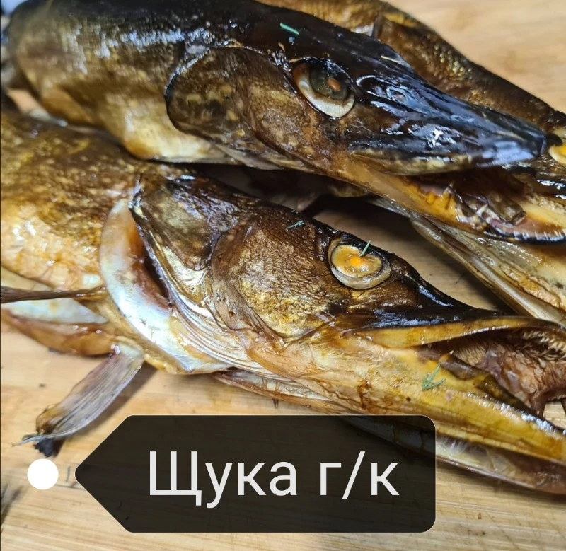 🐟🐟