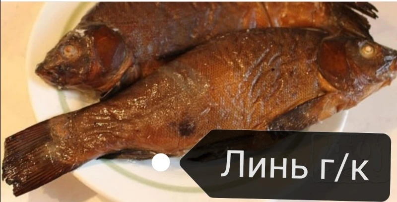 🐟