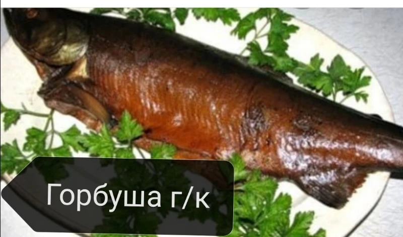 🐟