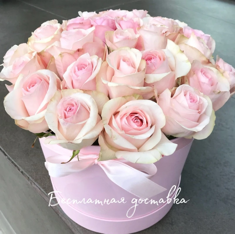 День Влюблённых 💗💗💗