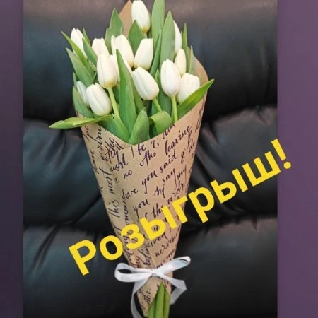 Розыгрыш