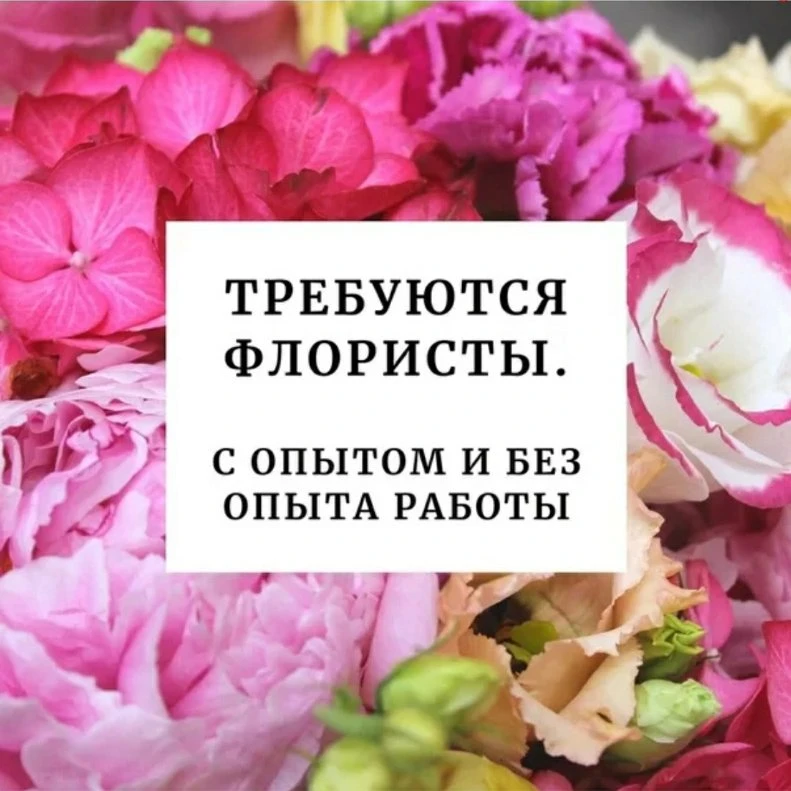 Требуется флорист с опытом и без опыта работы. 