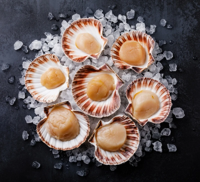В наличии "Морские гребешки"! 🤤