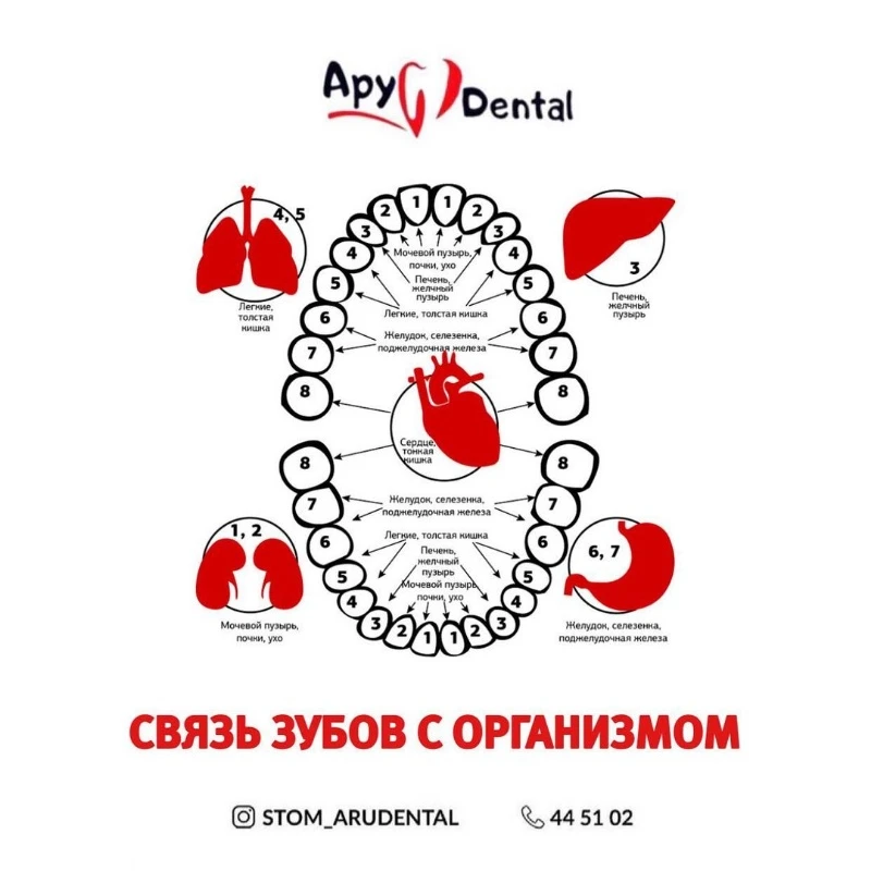 Ару дентал Актобе. Стомотологии в Актобе. Лечение удаление зубов в Актобе 