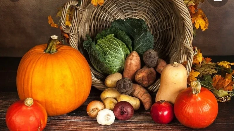 Осень - это вкусно! Заходите к нам и сами убедитесь.Ну а если вам лень из-за дождя выходить на улицу, то звоните и заказывайте у нас вкусные обеды и ужины, мы с удовольствием все доставим и на работу и домой!🚚🥗☕️