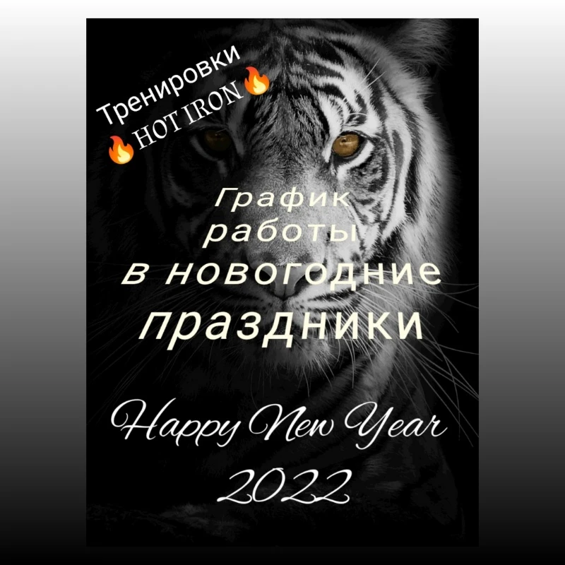 График работы в праздничные дни⛄
