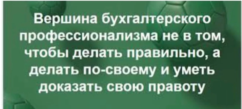 Бухгалтерский профессионализм
