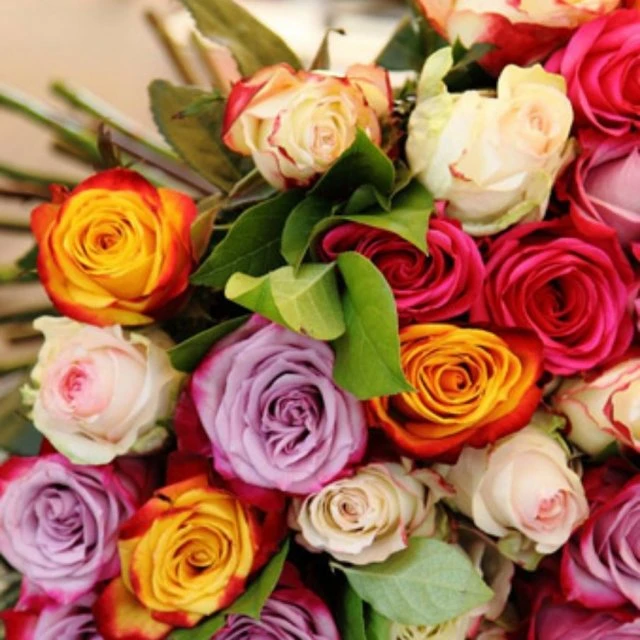 Индивидуальные качества цветов🌷🌸