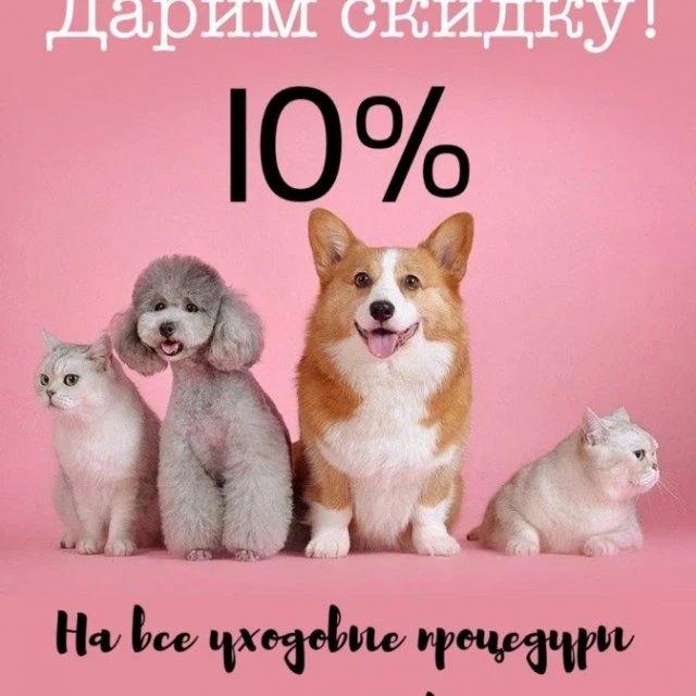 Приглашаем Вас и Ваших любимцев🐱🐶💕