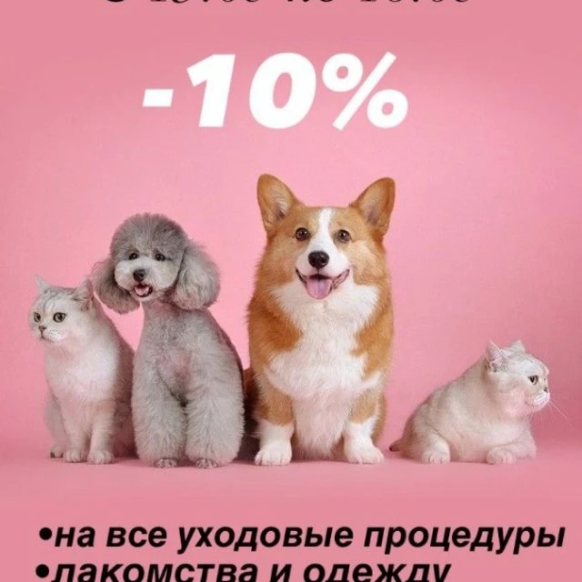 Скидки на уходовые процедуры