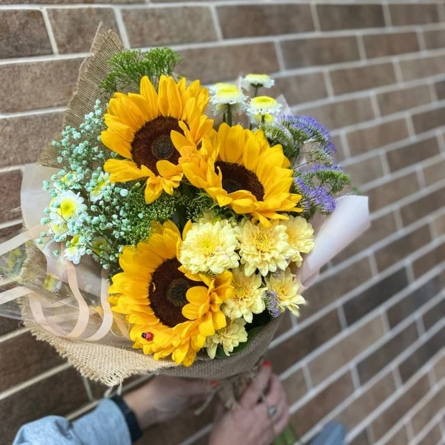 🌻🌻🌻
