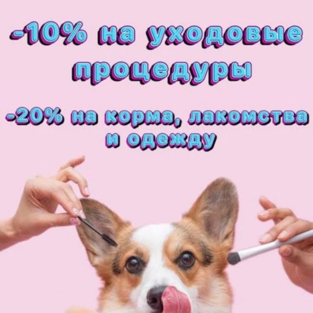 Стрижка собак и кошек/ Товары для животных