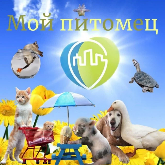 Осенний конкурс стартовал! 