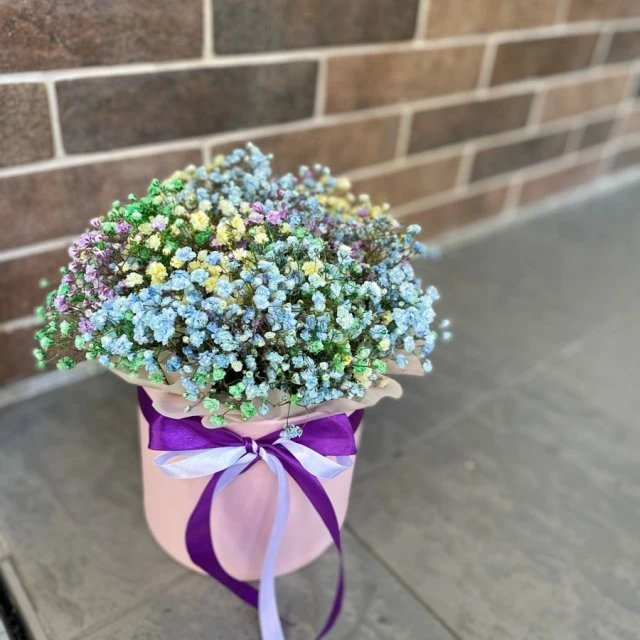 Радужная гипсофила 🎀