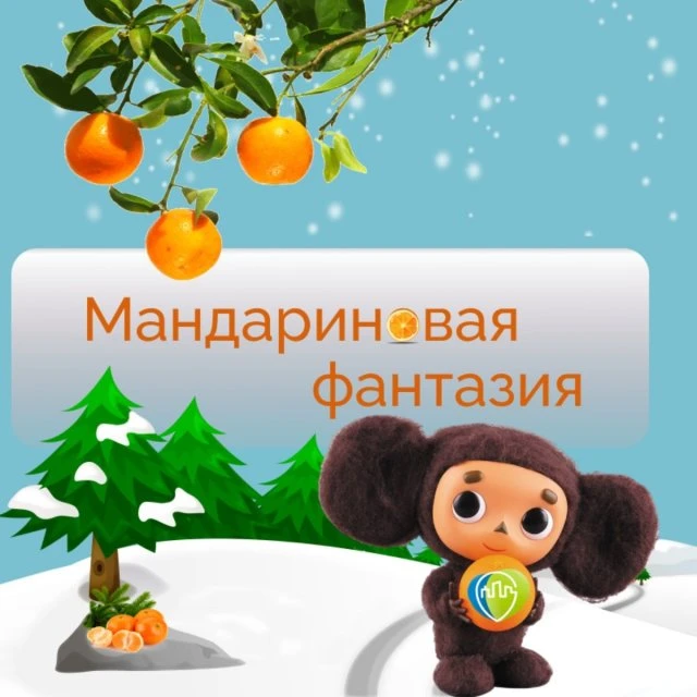 Конкурс в самом разгаре!🍊