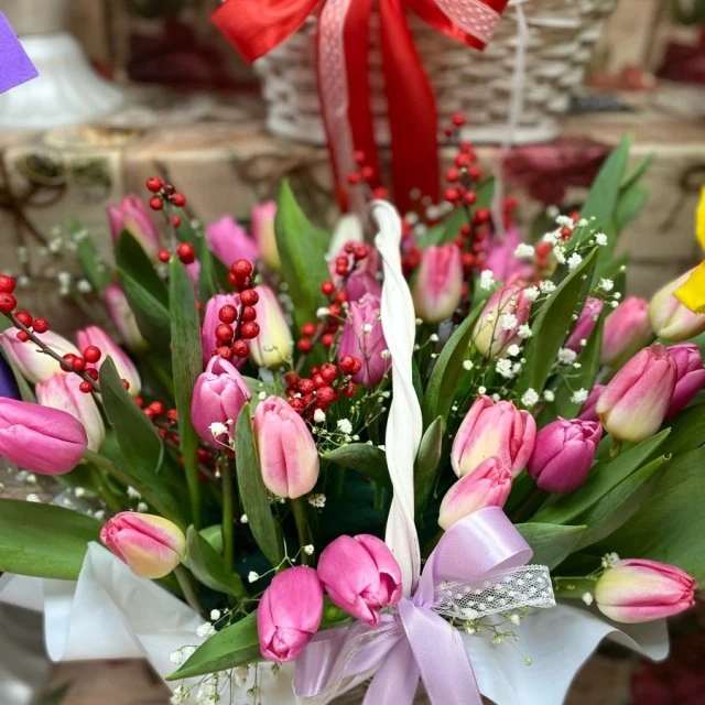 🌷🌷🌷