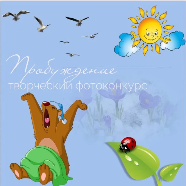 Конкурс завершён! 