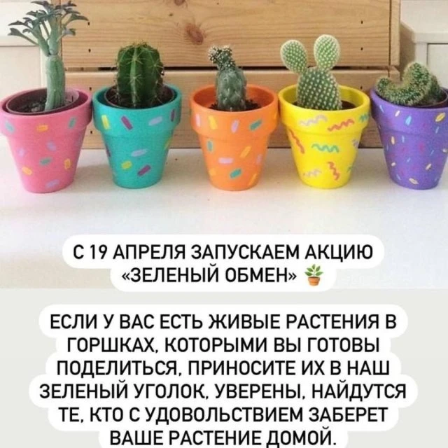 Зеленый обмен 🍀
