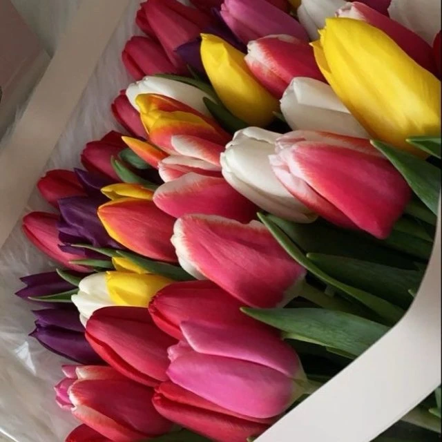 8 марта 🌞Международный женский день 🥰