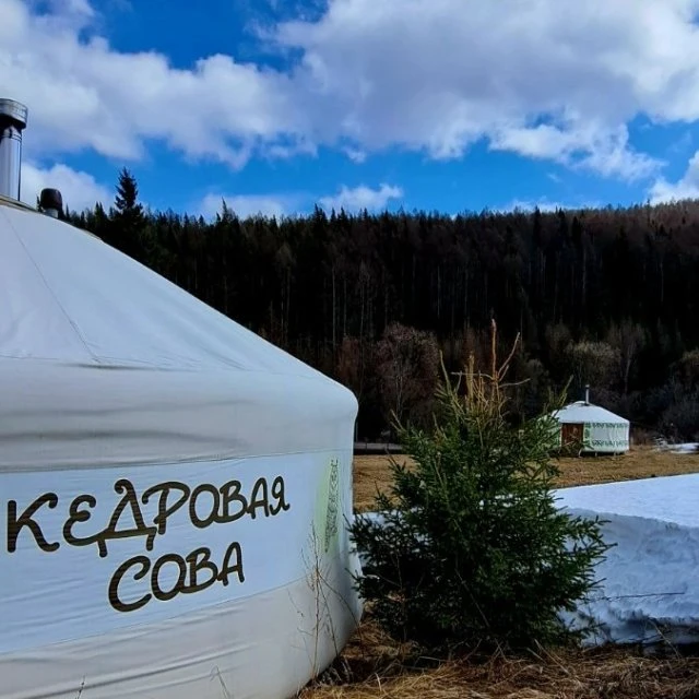Кедровая сова приглашает в гости!
