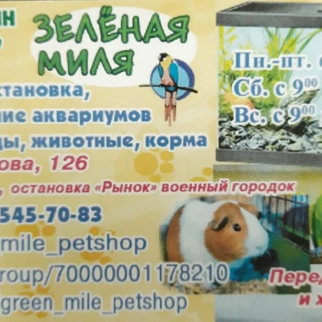 Обслуживание аквариумов 