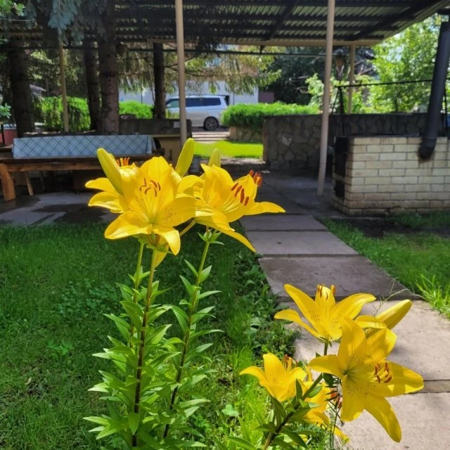 Загородный Отдых 