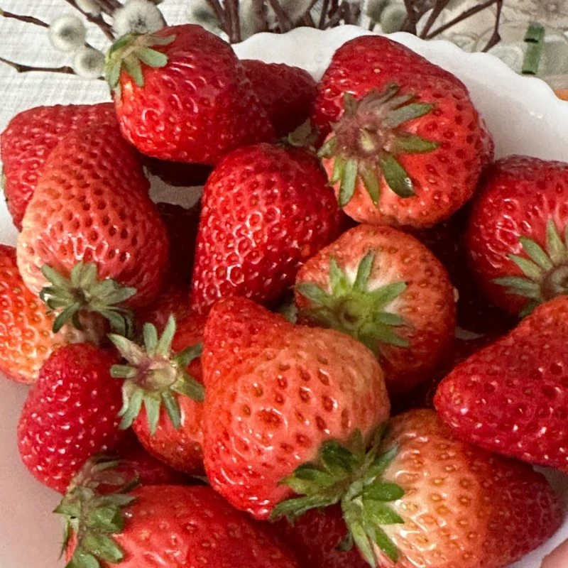 Про клубнику🍓