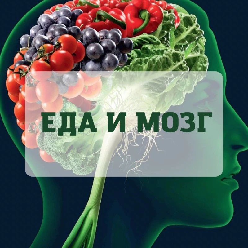Еда и мозг