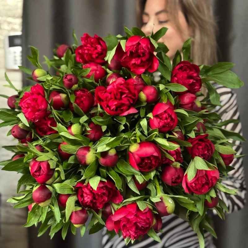 Пионы😍